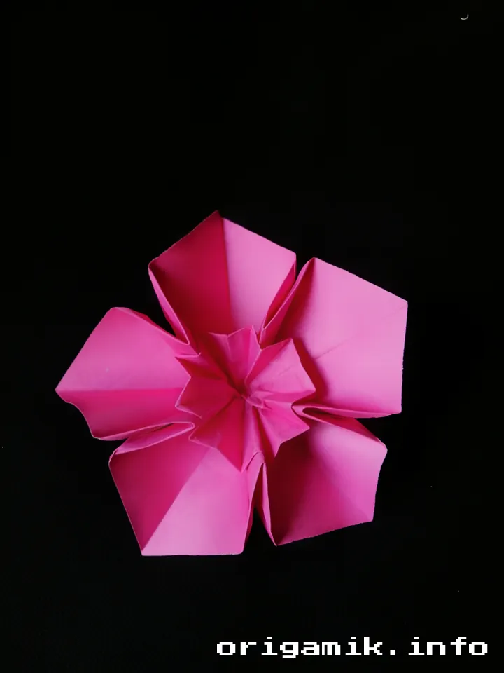 Origami  Daffodil flower step 6.jpeg