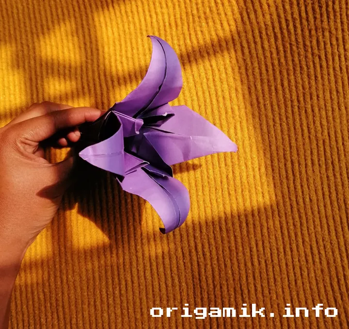 Origami Lily flower step final result