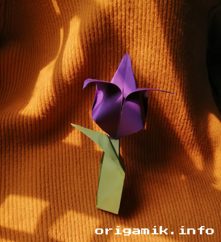 How to Make an Easy Origami Tulip Flower: Step-by-Step Guide Origami_Tulip_flower_step_final_result
