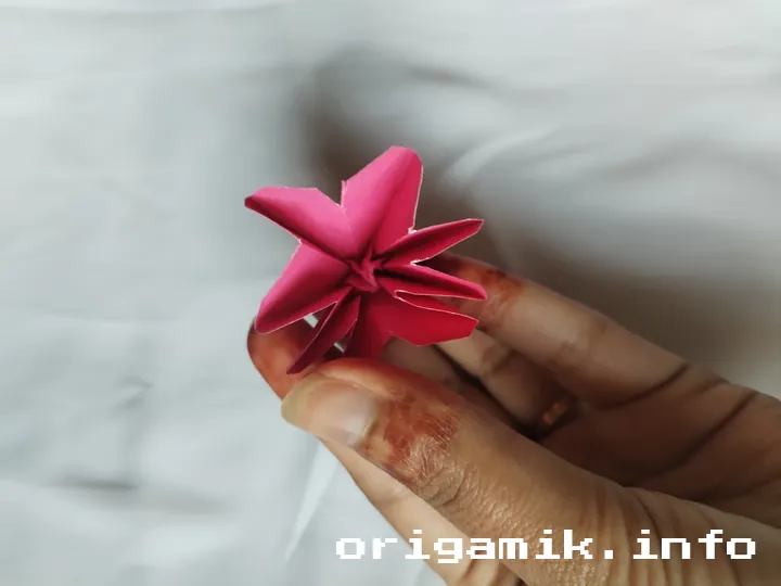 Origami daisy step 9 a