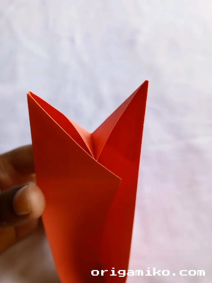 Origami canoe step 5 d