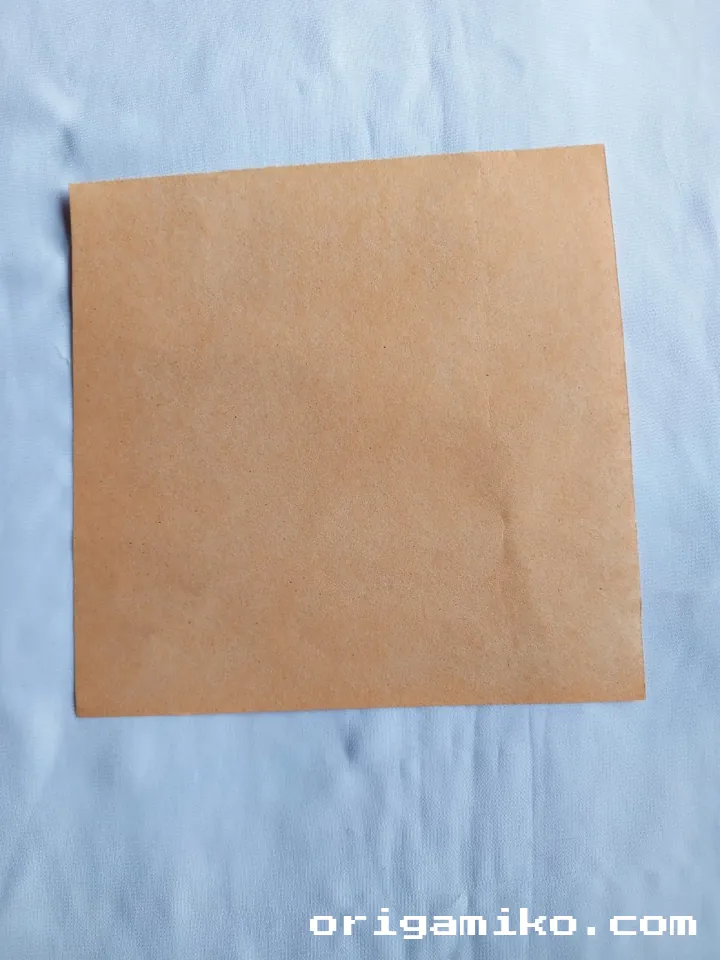 Origami double boat step 1
