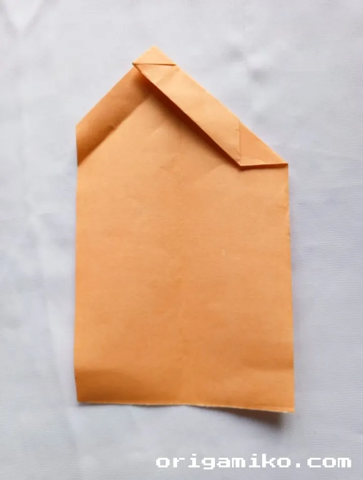 Origami orange step 3 d