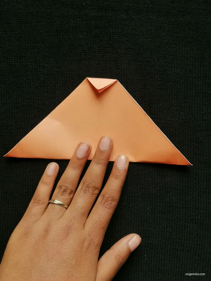 origami carnation flower step 2 (a)
