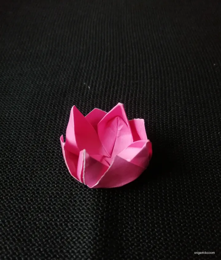 origami lotus step 4 (b)