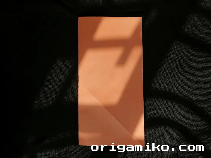 Origami hibiscus flower step 2 (a)