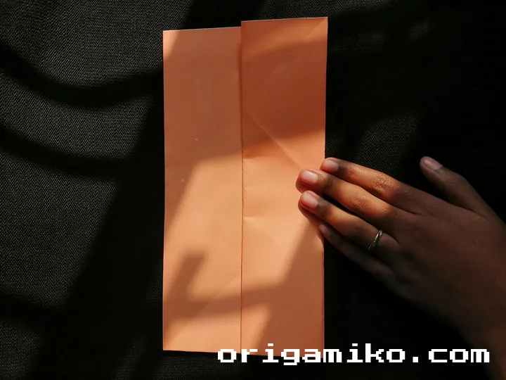 Origami hibiscus flower step 2 (c)