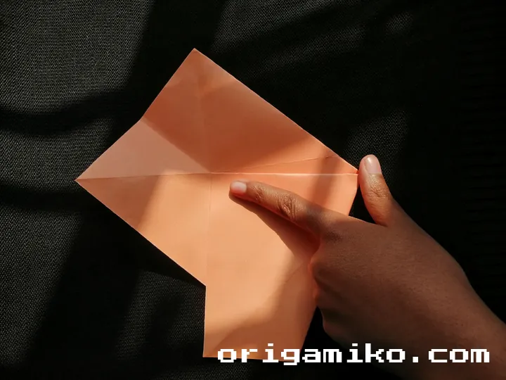 Origami hibiscus flower step 2 (d)