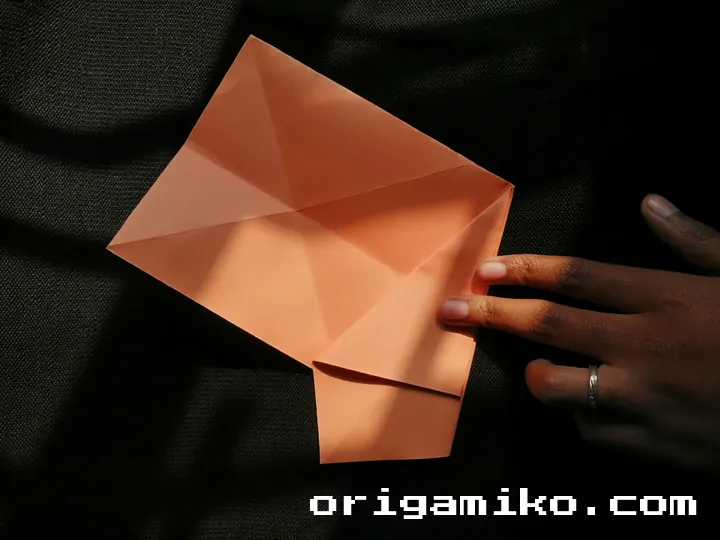 Origami hibiscus flower step 2 (e)