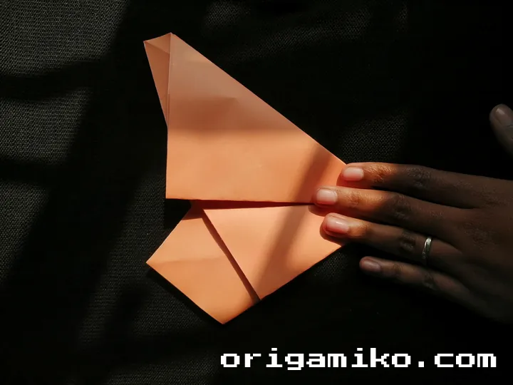 Origami hibiscus flower step 2 (f)