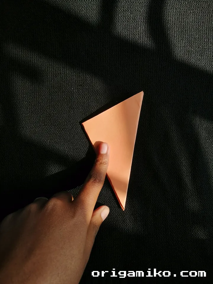 Origami hibiscus flower step 2 (i)
