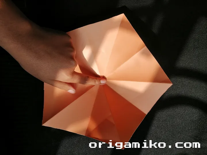 Origami hibiscus flower step 2 (j)
