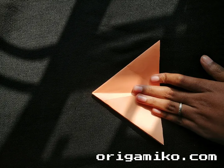 Origami hibiscus flower step 3 (b)