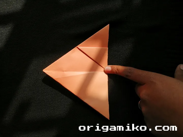 Origami hibiscus flower step 3 (c)