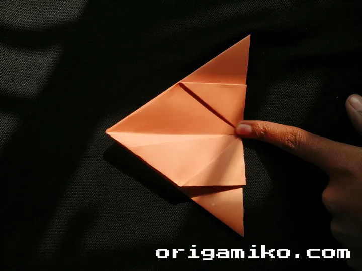 Origami hibiscus flower step 3 (d)