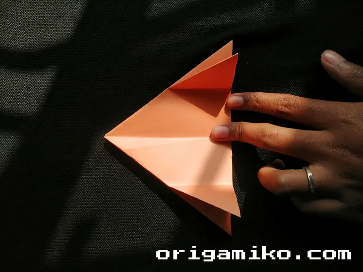 Origami hibiscus flower step 3 (e)