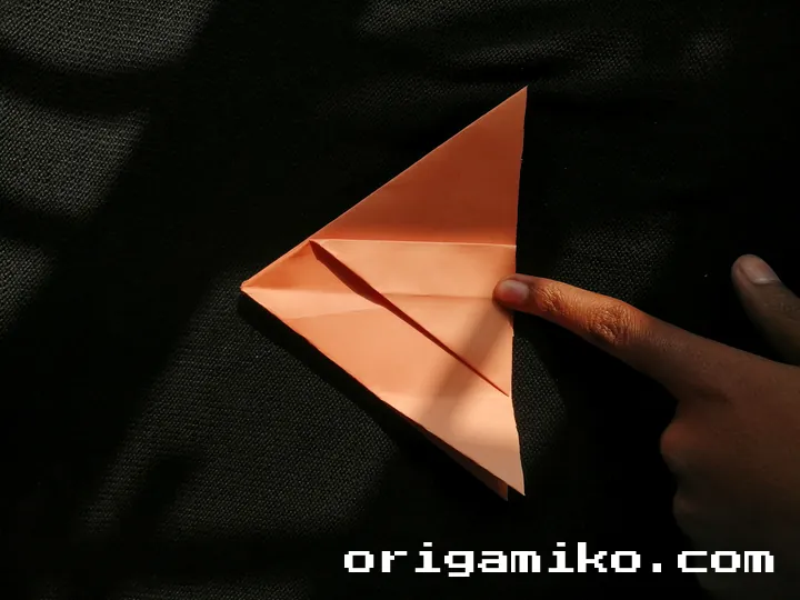 Origami hibiscus flower step 3 (f)