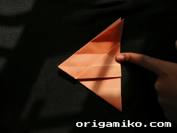 Origami hibiscus flower step 3 (g)