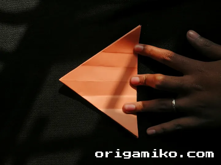 Origami hibiscus flower step 3 (h)