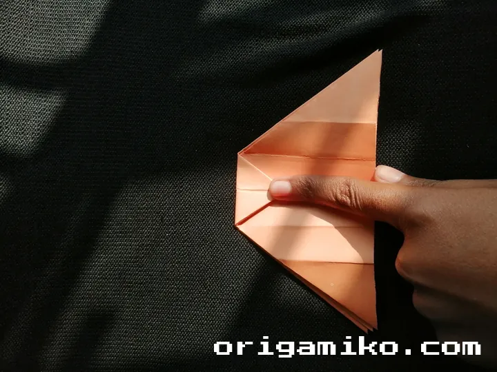Origami hibiscus flower step 3 (i)