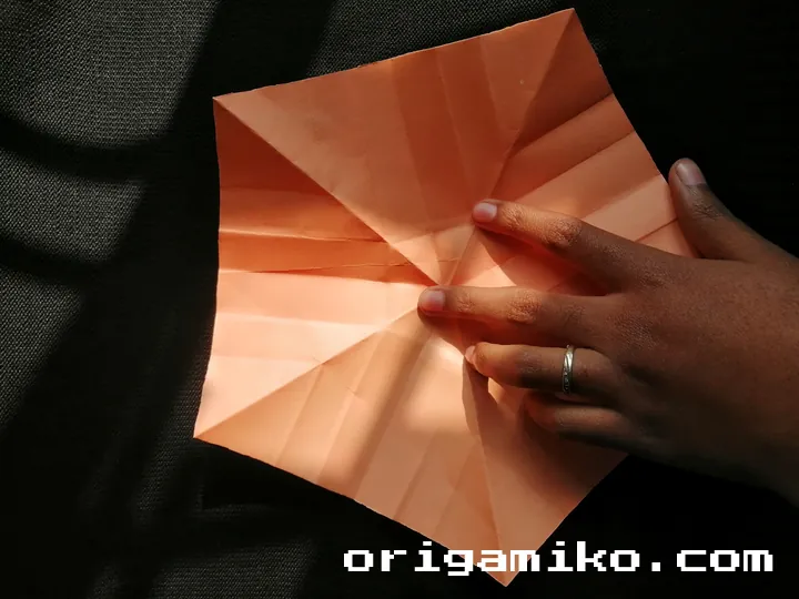 Origami hibiscus flower step 3 (j)