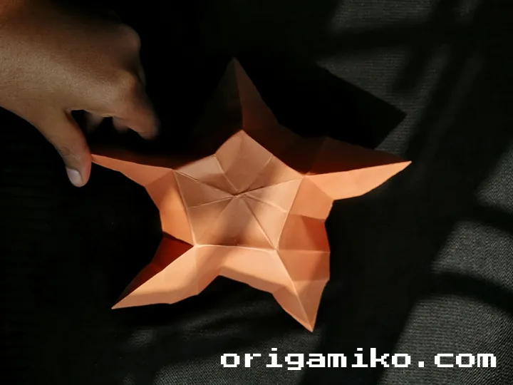 Origami hibiscus flower step 4 (a)