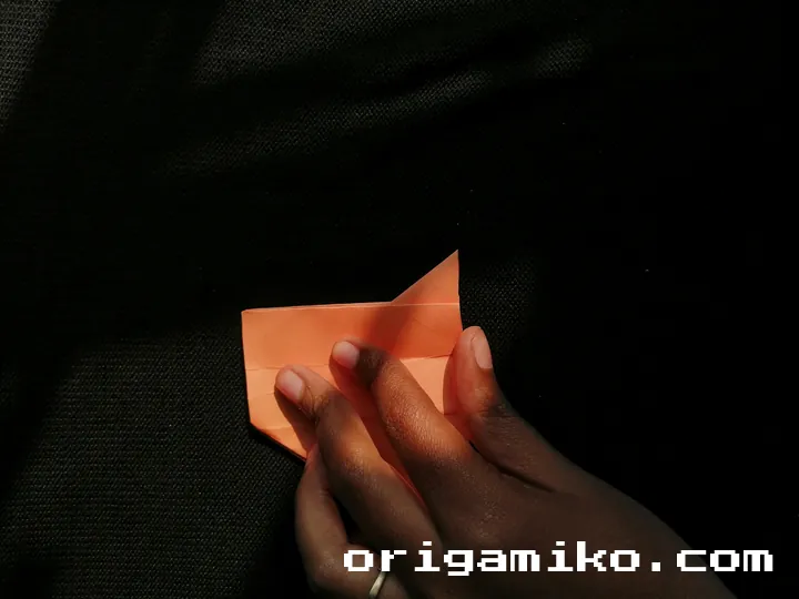Origami hibiscus flower step 4 (e)