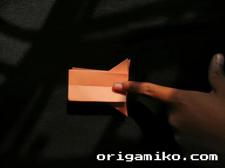 Origami hibiscus flower step 4 (f)