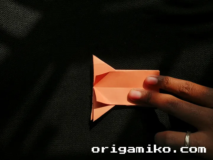 Origami hibiscus flower step 4 (i)