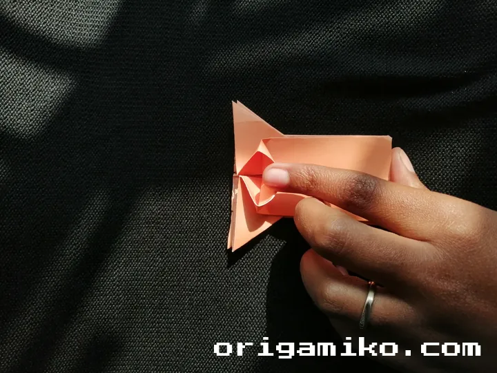 Origami hibiscus flower step 4 (j)