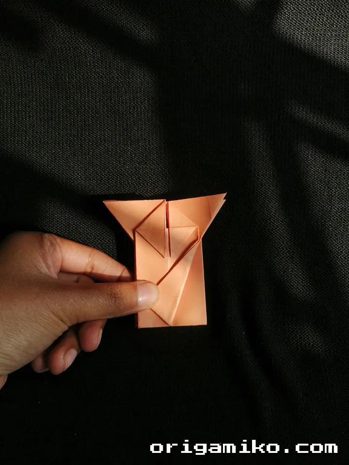 Origami hibiscus flower step 5 (a)
