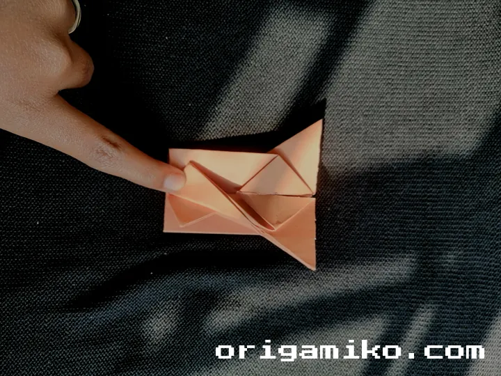 Origami hibiscus flower step 5 (b)