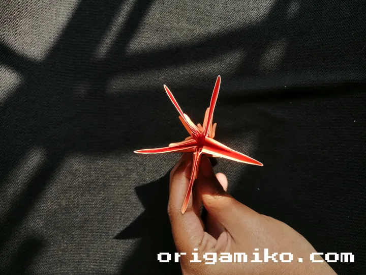 Origami hibiscus flower step 5 (e)