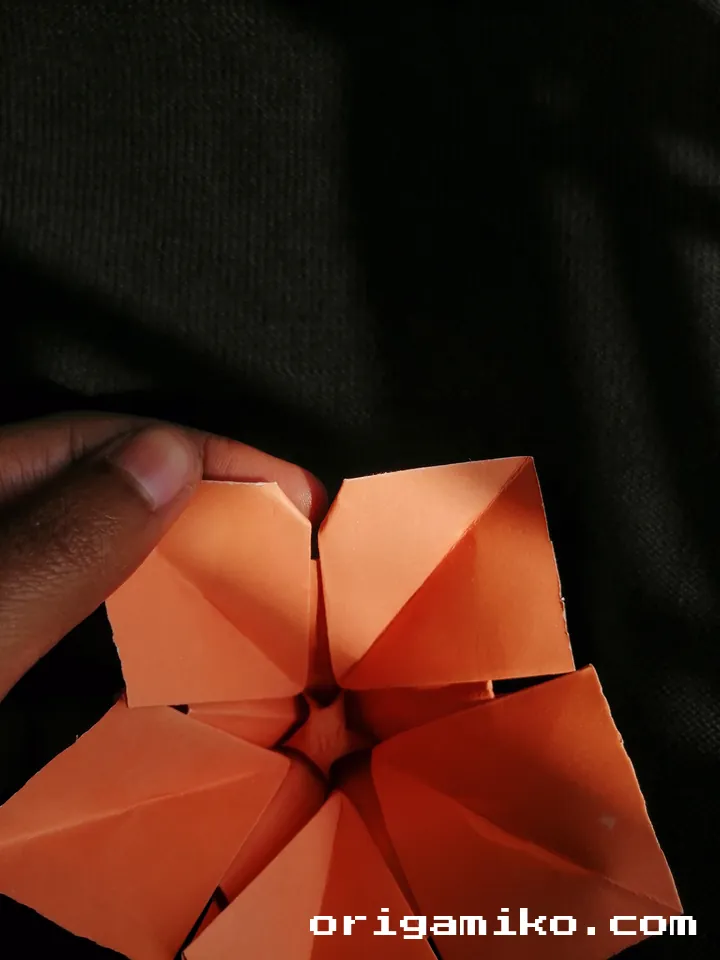 Origami hibiscus flower step 5 (g)