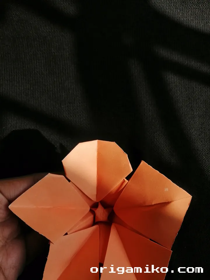 Origami hibiscus flower step 5 (h)