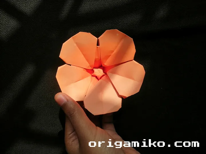 Origami hibiscus flower step 5 (i)
