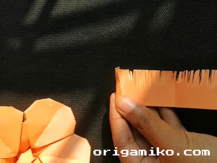 Origami hibiscus flower step 6 (e)