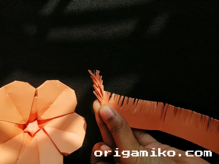 Origami hibiscus flower step 6 (f)