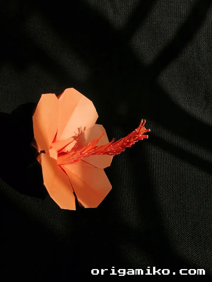 Origami hibiscus flower step 7