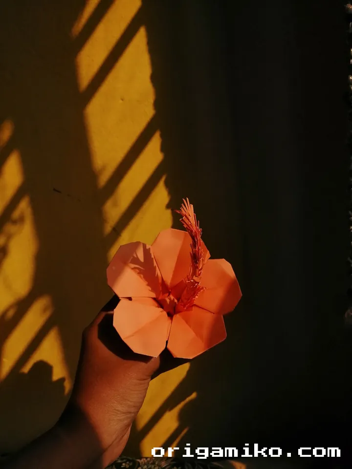 Origami hibiscus flower step Final result 4