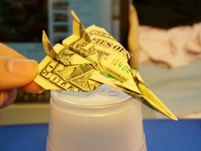 Dollar Bill Jet Fighter