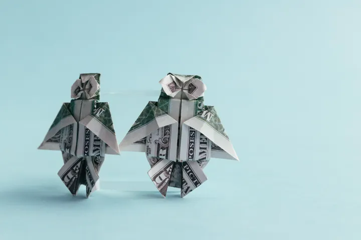 Dollar Bill Origami Owl