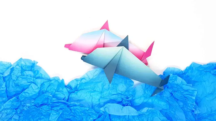 Dolphin
