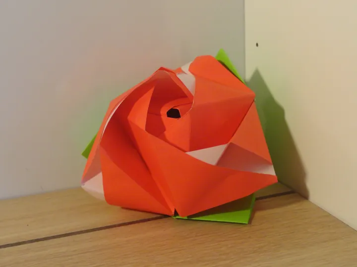 Magic Rose Cube