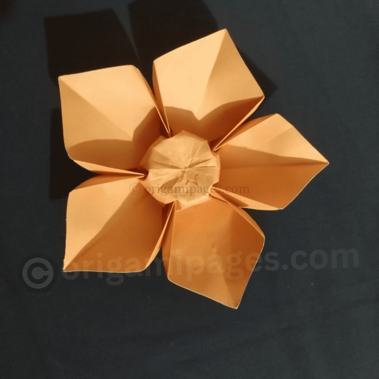 Origami 5-Petal Flower