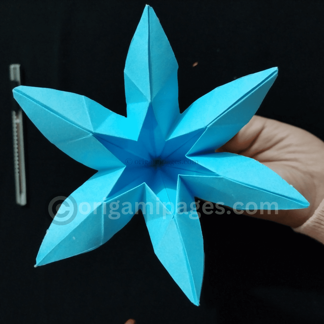 Origami 6-Petal Flower