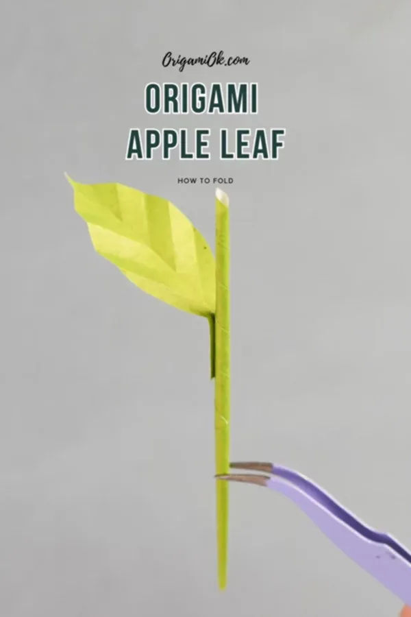 Origami Apple Leaf