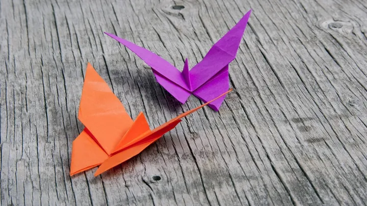 Origami Butterfly