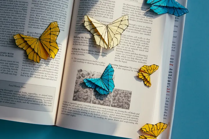 Origami Butterfly Bookmark