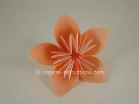 Origami Kusudama Flower